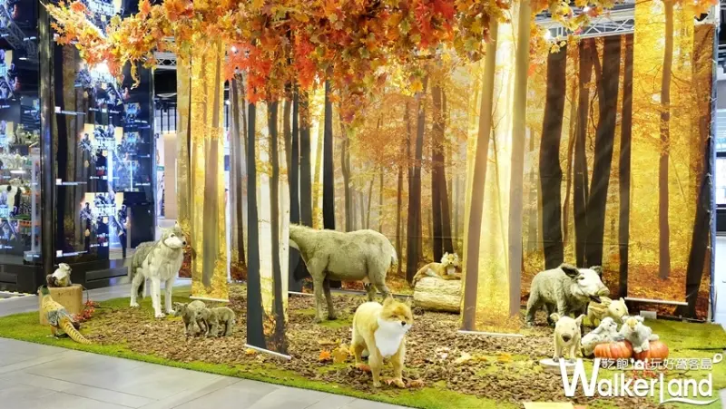 我是馬克十週年紀念展/ WalkerLand窩客島提供