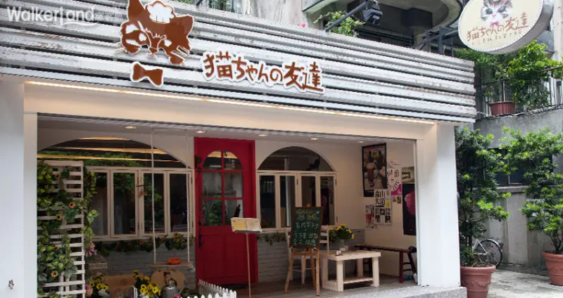 猫ちゃんの友達 可愛的貓咪深受顧客喜愛