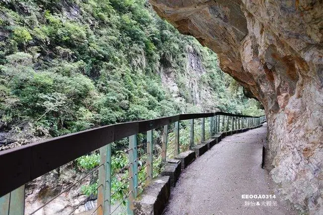 窩客 靜怡 推薦 砂卡礑步道