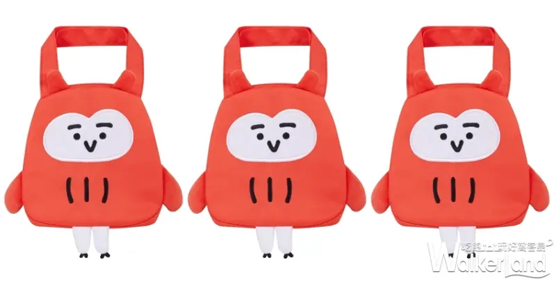 短耳貓頭鷹 / WalkerLand窩客島提供