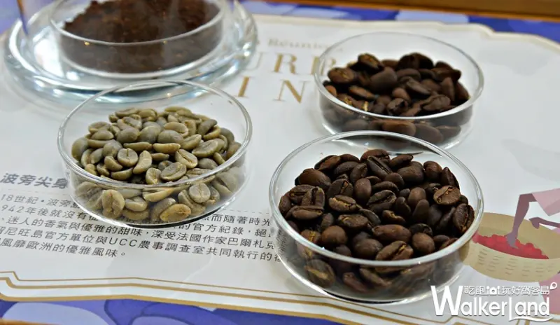 UCC波旁尖身 / WalkerLand窩客島提供