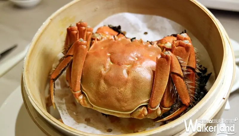 老饕才知道的必吃料理！點水樓強勢推出「秋季蟹宴」料理，用台東大閘蟹三吃搶攻秋季必吃美食稱號。