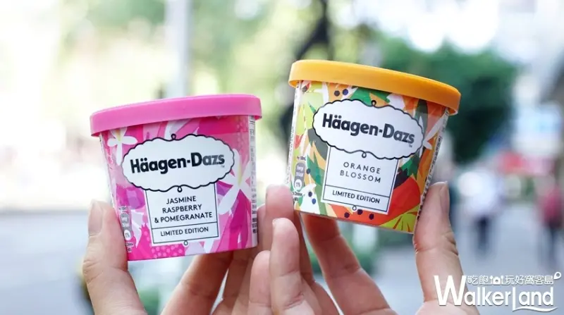 哈根達斯 / WalkerLand窩客島提供