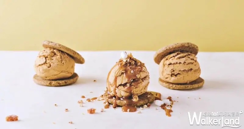 Aunt Stella / WalkerLand窩客島提供