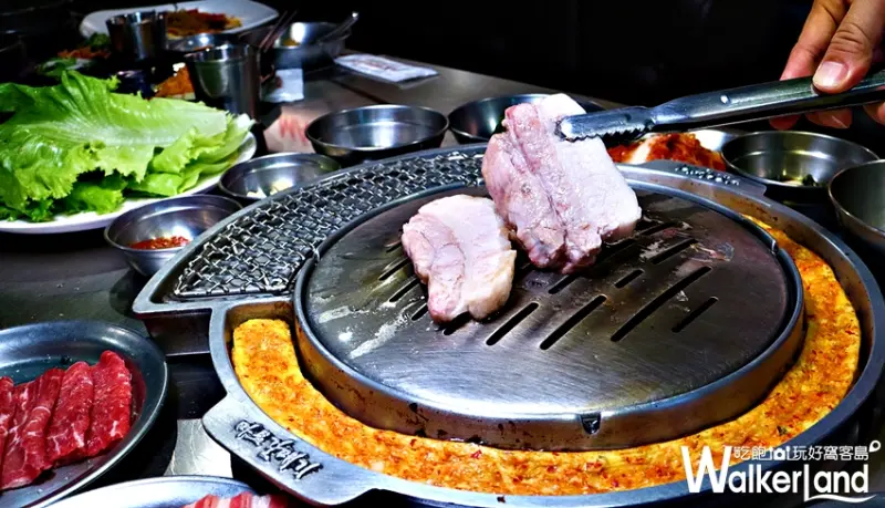 新麻蒲海鷗 / WalkerLand窩客島整理提供