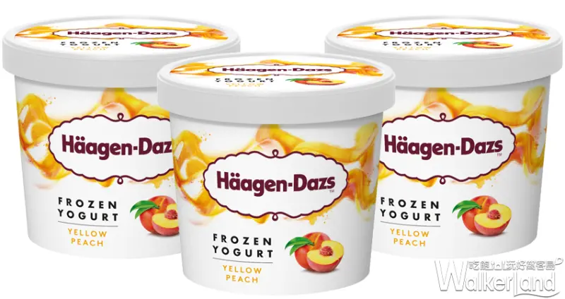 Haagen-Dazs花甜小巴 / WalkerLand窩客島整理提供