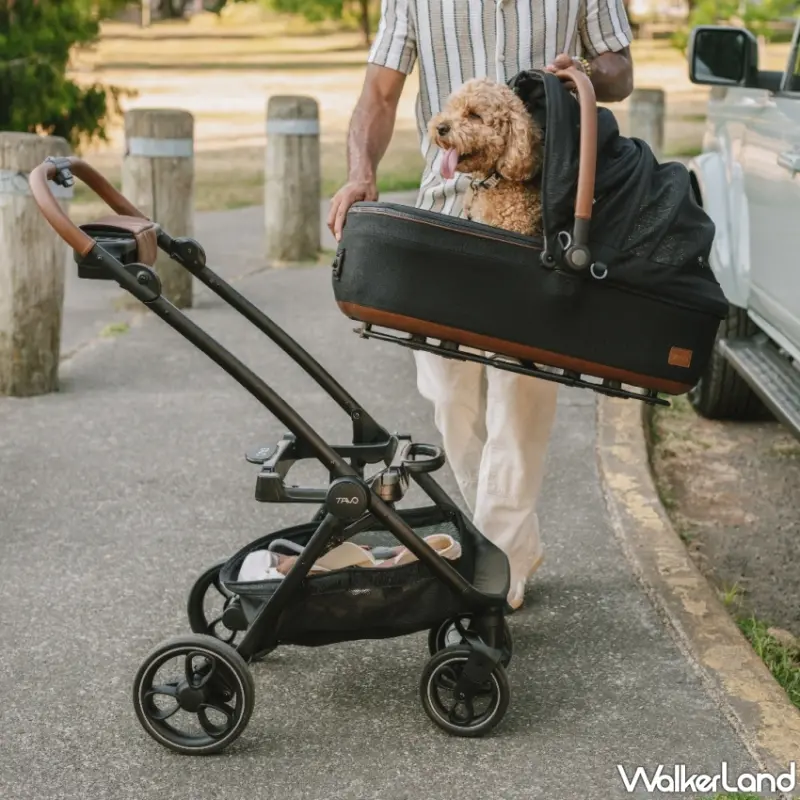 毛小孩乘車安全大革新！TAVO推出全新MaeveTM 3-in-1寵物保護系統、為毛孩出行帶來嶄新安全體驗，提供限量賞車預約和專屬寵物好禮。