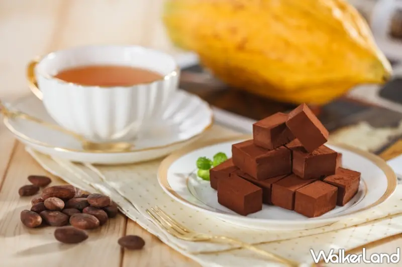 高雄夢時代「拿鐵生活節」搶先登場！40家咖啡館、人氣美食強勢進駐，高雄人搶先體驗夢幻戶外午茶。