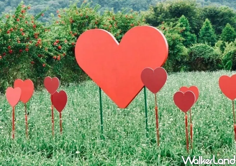 2024大溪韭菜花節 活動資訊/ WalkerLand窩客島整理提供 未經許可不可轉載。