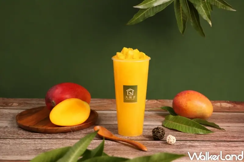 大苑子人氣推薦必喝  / WalkerLand窩客島提供 未經許可，不得轉載