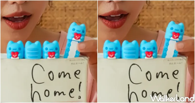 清心福全 貓貓蟲咖波造型書籤 / WalkerLand窩客島提供 未經許可，不得轉載