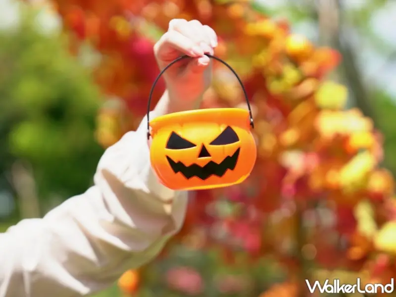 小朋友都要去玩！佐登妮絲城堡「萬聖南瓜搗蛋趴」真的有好玩，免費入園、限量討糖桶、創意打卡賽全家一起來搞怪。