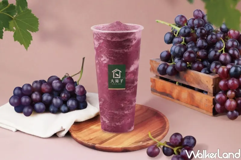 大苑子人氣推薦必喝  / WalkerLand窩客島提供 未經許可，不得轉載