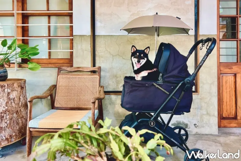寵物公園限時三天72折大優惠！寵物智能家電、寵物自動餵食器與推車搶手商品一應俱全，輕鬆提升寵物生活品質。