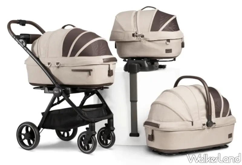 毛小孩乘車安全大革新！TAVO推出全新MaeveTM 3-in-1寵物保護系統、為毛孩出行帶來嶄新安全體驗，提供限量賞車預約和專屬寵物好禮。