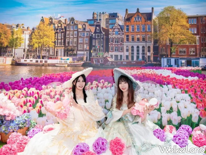 小朋友都要去玩！佐登妮絲城堡「萬聖南瓜搗蛋趴」真的有好玩，免費入園、限量討糖桶、創意打卡賽全家一起來搞怪。