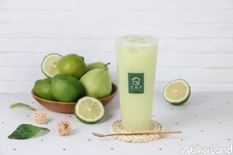 大苑子人氣推薦必喝  / WalkerLand窩客島提供 未經許可，不得轉載