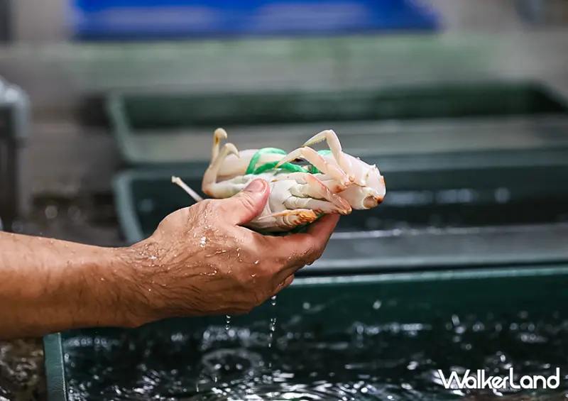 秋天萬里蟹去哪吃！基隆在地人超推「螃蟹屋水產」在地30年老字號/ WalkerLand窩客島整理提供 未經許可不可轉載。