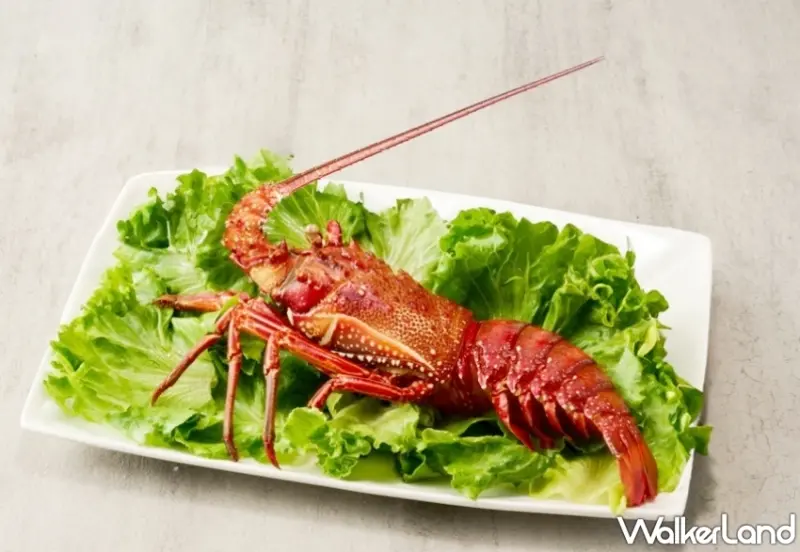 鍋物控約吃尬鍋！火鍋湯頭升級香純濃郁雞湯，再加碼屬雞滿千現折111元、219元加購龍蝦。