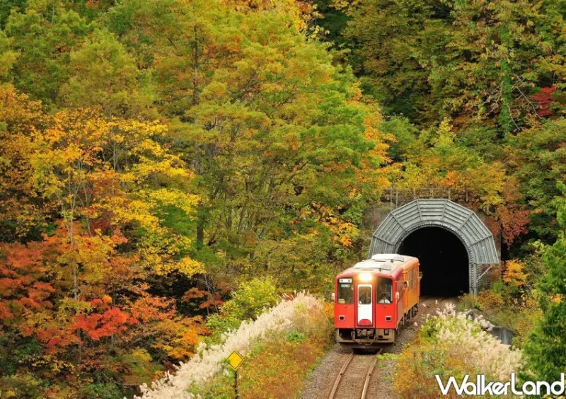 旅天下 日本賞楓行程推薦/ WalkerLand窩客島整理提供 未經許可不可轉載。