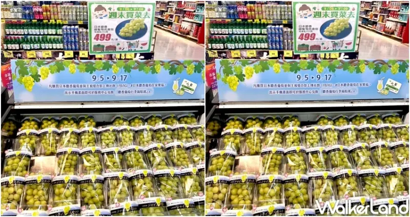 家樂福 麝香葡萄優惠 / WalkerLand窩客島提供 未經許可，不得轉載
