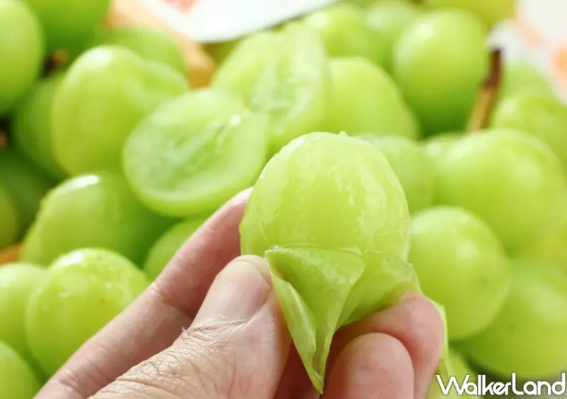 愛買日本麝香葡萄優惠、中秋優惠 / WalkerLand窩客島整理提供 未經許可不可轉載。