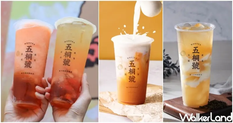 五桐號人氣推薦排行榜  / WalkerLand窩客島提供 未經許可，不得轉載