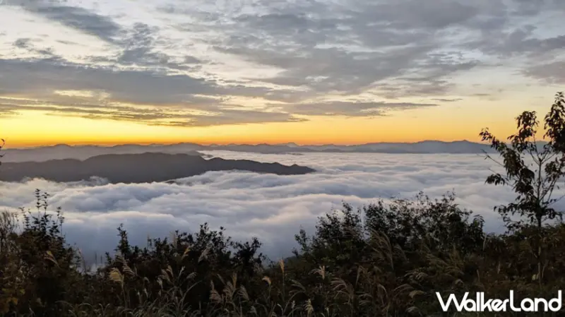 城崎溫泉祭典、賞楓景點大公開，解鎖但馬地區最熱鬧的秋日慶典與隱藏景點。