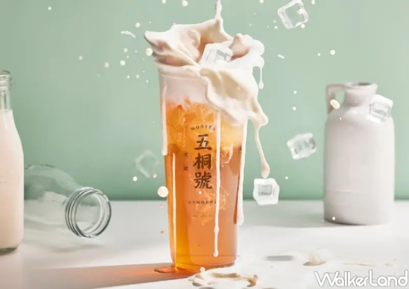 五桐號人氣推薦排行榜  / WalkerLand窩客島提供 未經許可，不得轉載