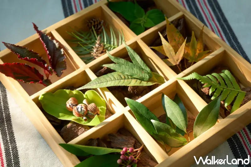 虹夕諾雅 谷關全新「秋蘊泰雅」兩天一夜限定專案，體驗泰雅族人豐收季節。