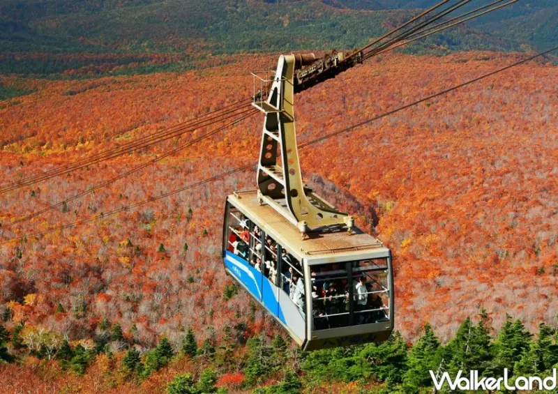 旅天下 日本賞楓行程推薦/ WalkerLand窩客島整理提供 未經許可不可轉載。