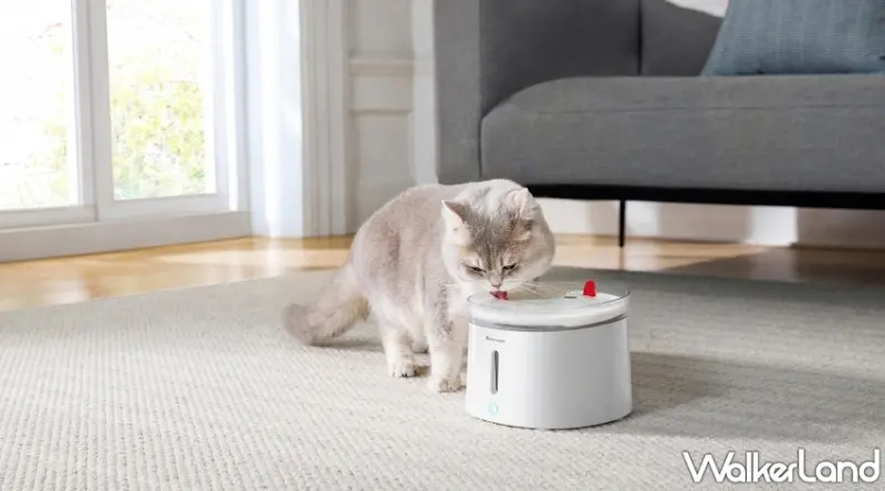 寵物公園限時三天72折大優惠！寵物智能家電、寵物自動餵食器與推車搶手商品一應俱全，輕鬆提升寵物生活品質。