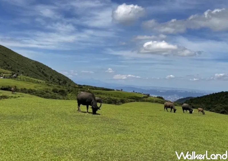 KKday「高鐵國旅聯票」限定活動  / WalkerLand窩客島提供 未經許可，不得轉載