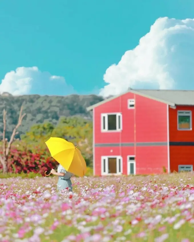 不只有韭菜花可拍 #崁津大橋 / WalkerLand窩客島整理提供 未經許可不可轉載