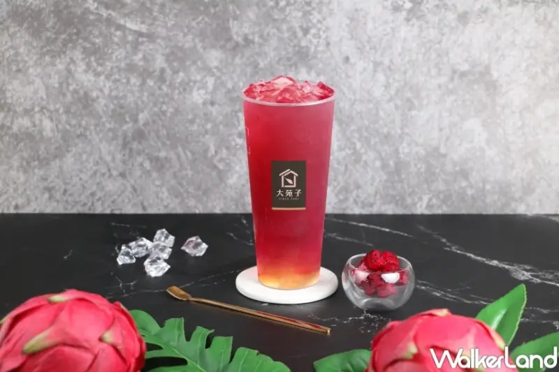 大苑子人氣推薦必喝  / WalkerLand窩客島提供 未經許可，不得轉載