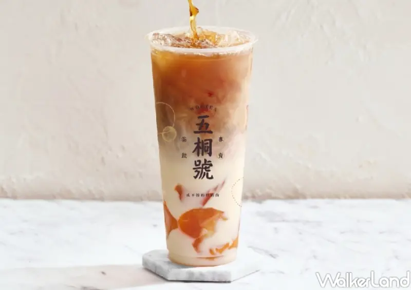 五桐號人氣推薦排行榜  / WalkerLand窩客島提供 未經許可，不得轉載