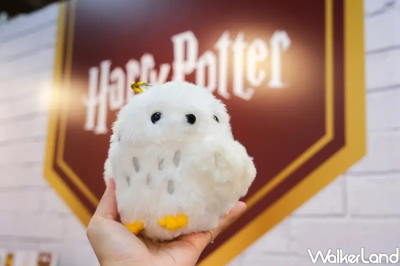 哈利波特快閃店  / WalkerLand窩客島提供 未經許可，不得轉載