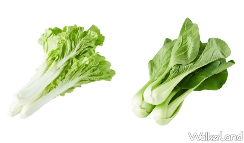 康芮颱風防颱準備！全聯、大潤發推出颱風防備優惠促銷，全台防颱省荷包大作戰搶先看。