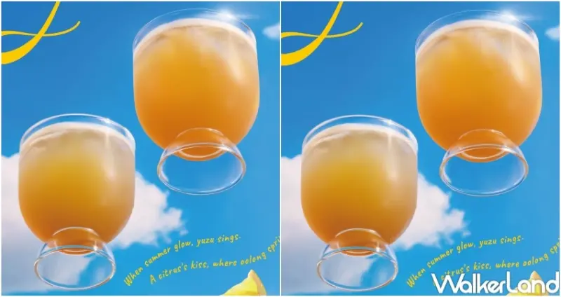 得正 雙柚金烏龍 / WalkerLand窩客島提供 未經許可，不得轉載