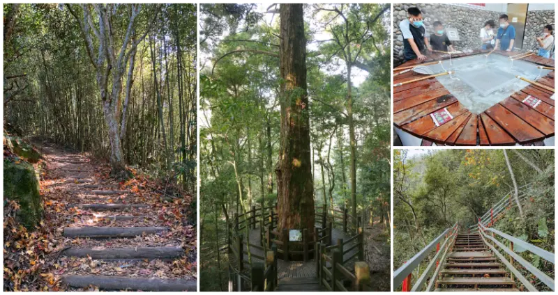 苗栗泰安景點5選懶人包！最親民楓葉步道、露天泰安溫泉池，免花錢推薦先看。/ WalkerLand窩客島整理提供 未經許可不可轉載