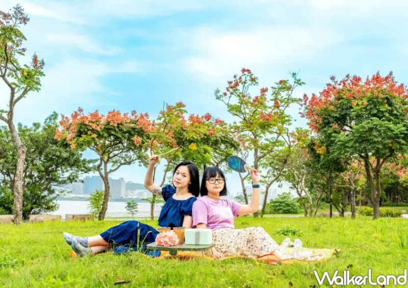 新北台灣欒樹賞花地/ WalkerLand窩客島整理提供 未經許可不可轉載。