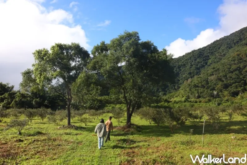 朝陽早秋一日散策 行程推薦 / WalkerLand窩客島提供 未經許可，不得轉載