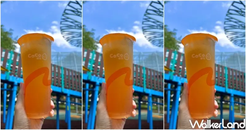 CoCo 人氣排行榜Top 5 / WalkerLand窩客島提供 未經許可，不得轉載