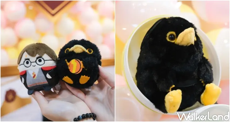 哈利波特快閃店  / WalkerLand窩客島提供 未經許可，不得轉載