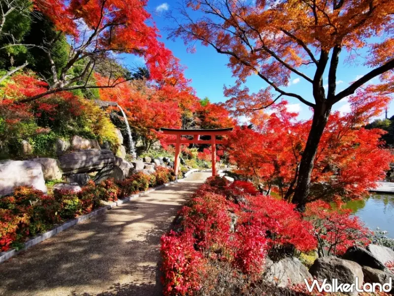 關西賞楓季節來臨！捷絲旅大阪心齋橋館推出「愛上關西賞秋楓」優惠住房專案三天兩夜僅需日幣6,000元起。