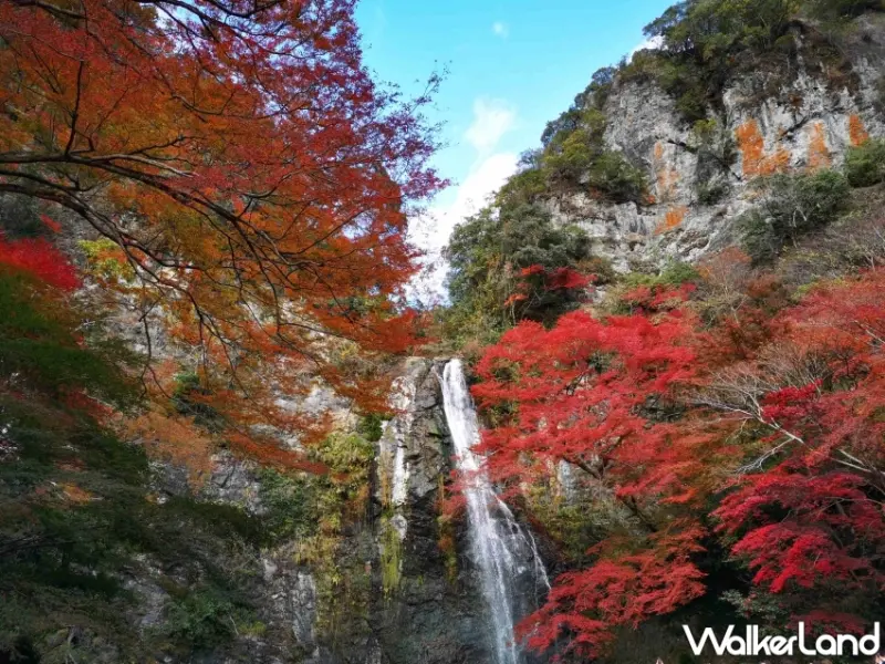關西賞楓季節來臨！捷絲旅大阪心齋橋館推出「愛上關西賞秋楓」優惠住房專案三天兩夜僅需日幣6,000元起。
