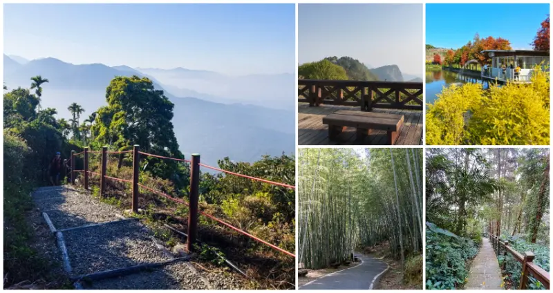  嘉義自然景點7選！IG必拍「隱藏版竹林隧道、360度環景景觀台」小孩也能輕鬆完攻。/ WalkerLand窩客島整理提供 未經許可不可轉載