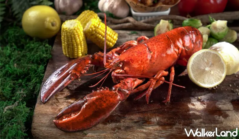 雲品溫泉酒店湖景住宿券！雲朗集團2024 ITF台北國際旅展獨家優惠搶先看，滿額加碼抽雙人牛排套餐券。