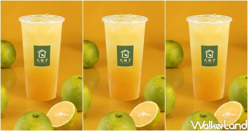 大苑子 台灣鮮搾柳丁綠 / WalkerLand窩客島提供 未經許可，不得轉載