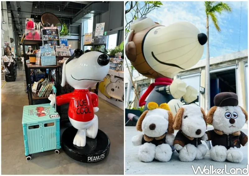 史努比Ｘ星宇航空期間限定快閃店/ WalkerLand窩客島整理提供 未經許可不可轉載。